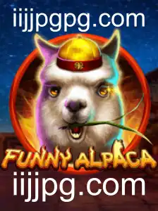 Explorando o Divertido Mundo de FunnyAlpaca